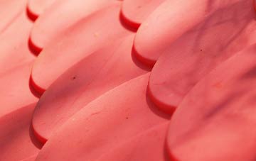 Great Edstone plastic roof costs